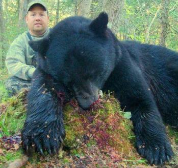 Black Bear Hunting in Quebec