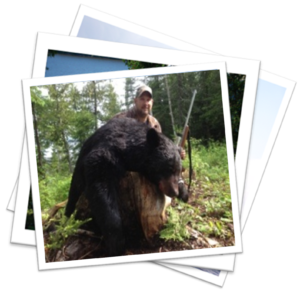 bear and moose hunting in quebec
